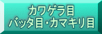 カワゲラ目 バッタ目・カマキリ目